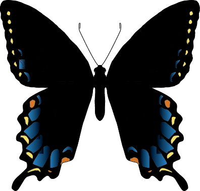 PapilioGlaucusMimetic.png