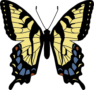 PapilioGlaucusNonmimetic.png