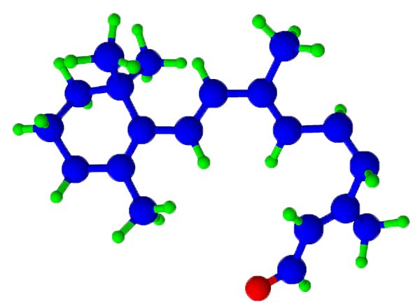 Retinal_BhavyaDharmaraaj_Web.png